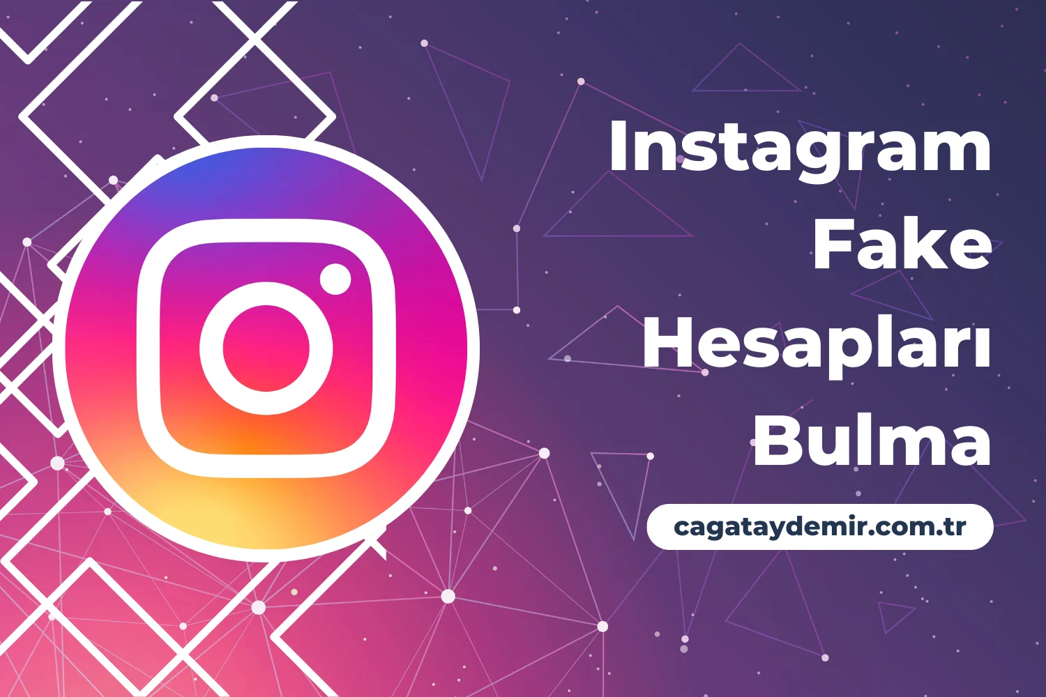 Instagram Fake Hesapları Bulma