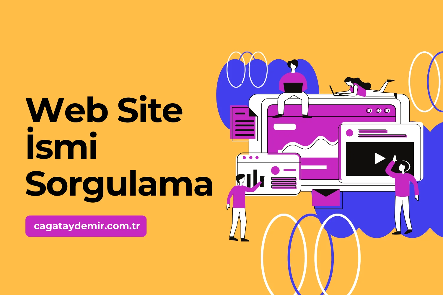 Web Site İsmi Sorgulama