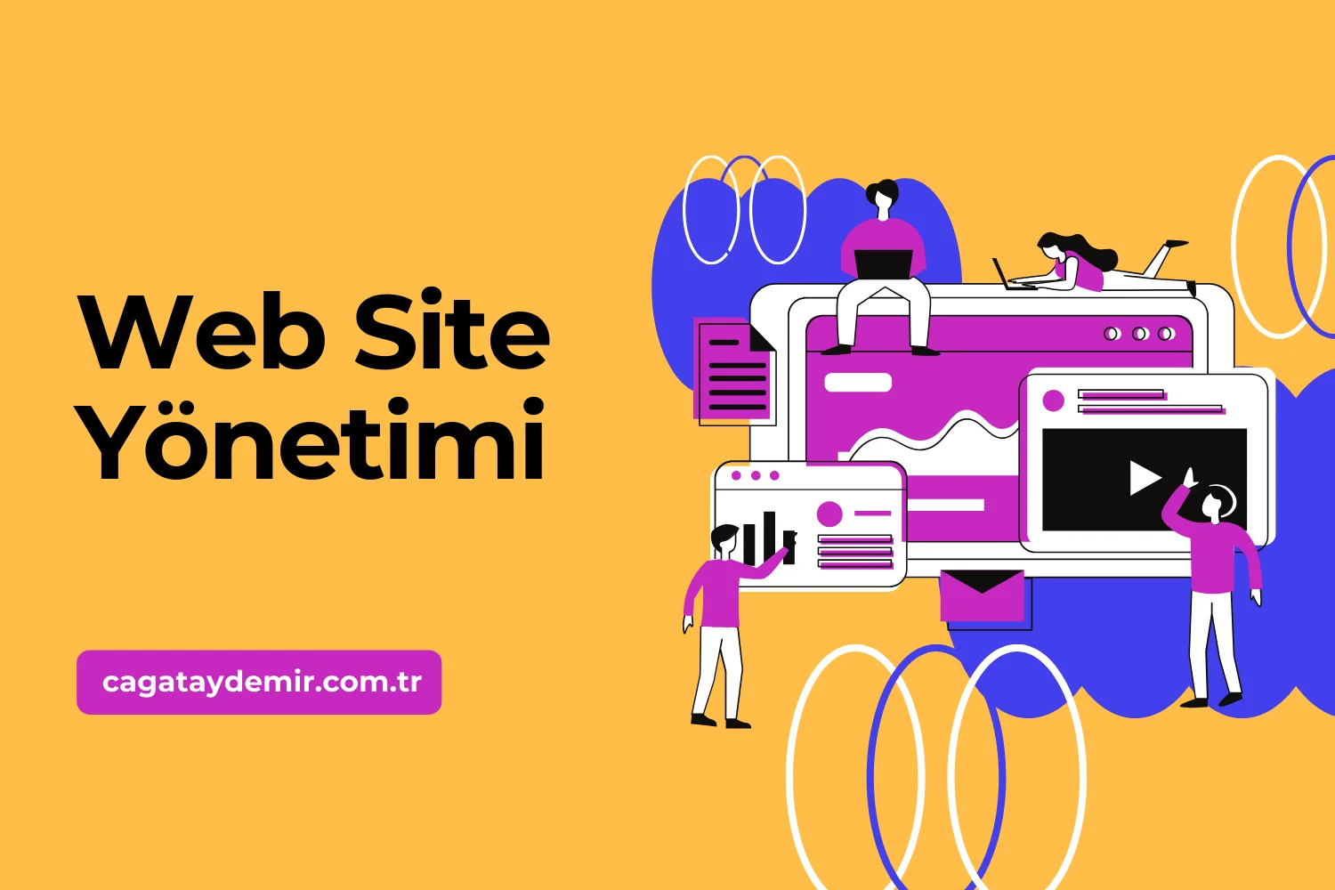 Web Site Yönetimi