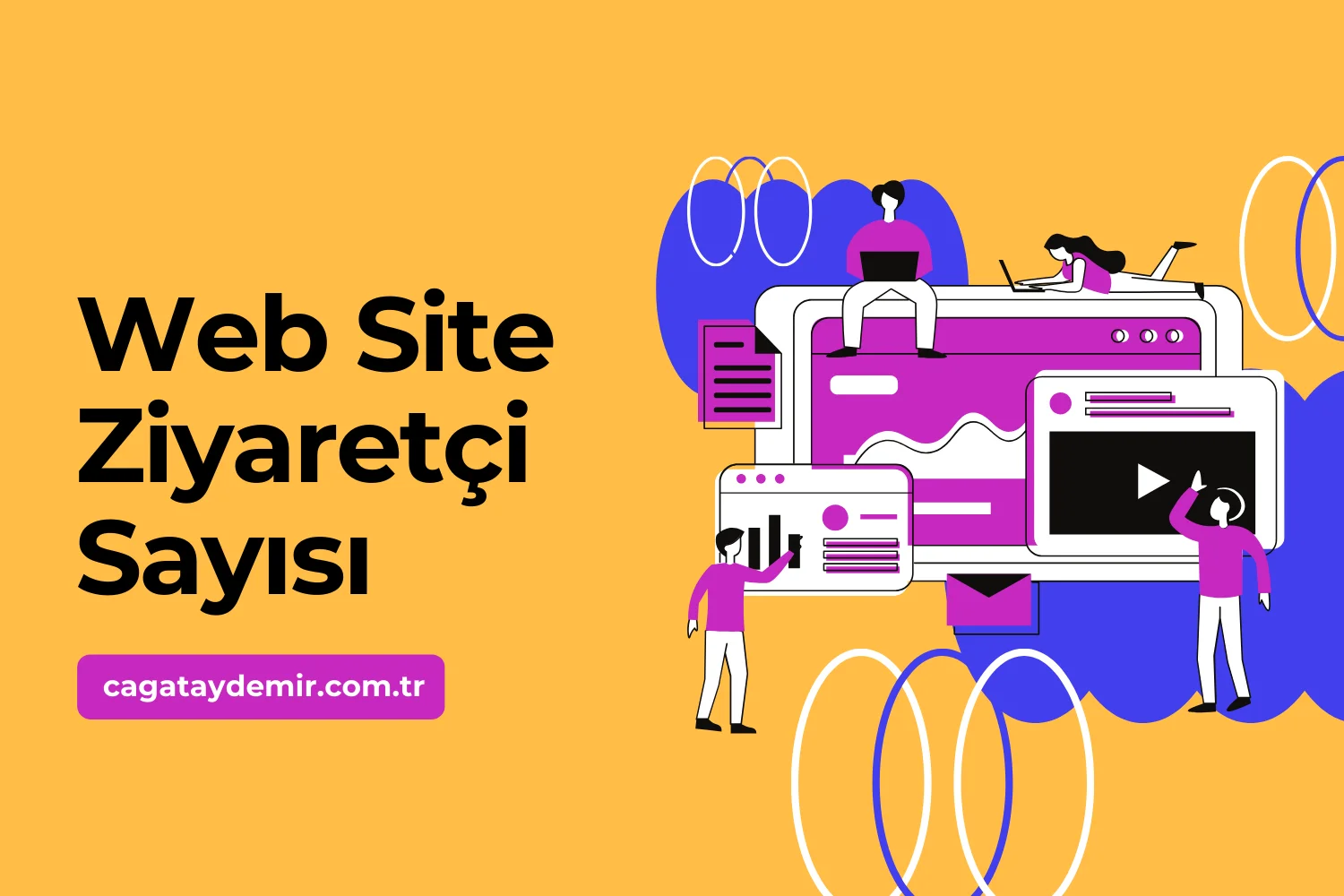 Web Site Ziyaretçi Sayısı