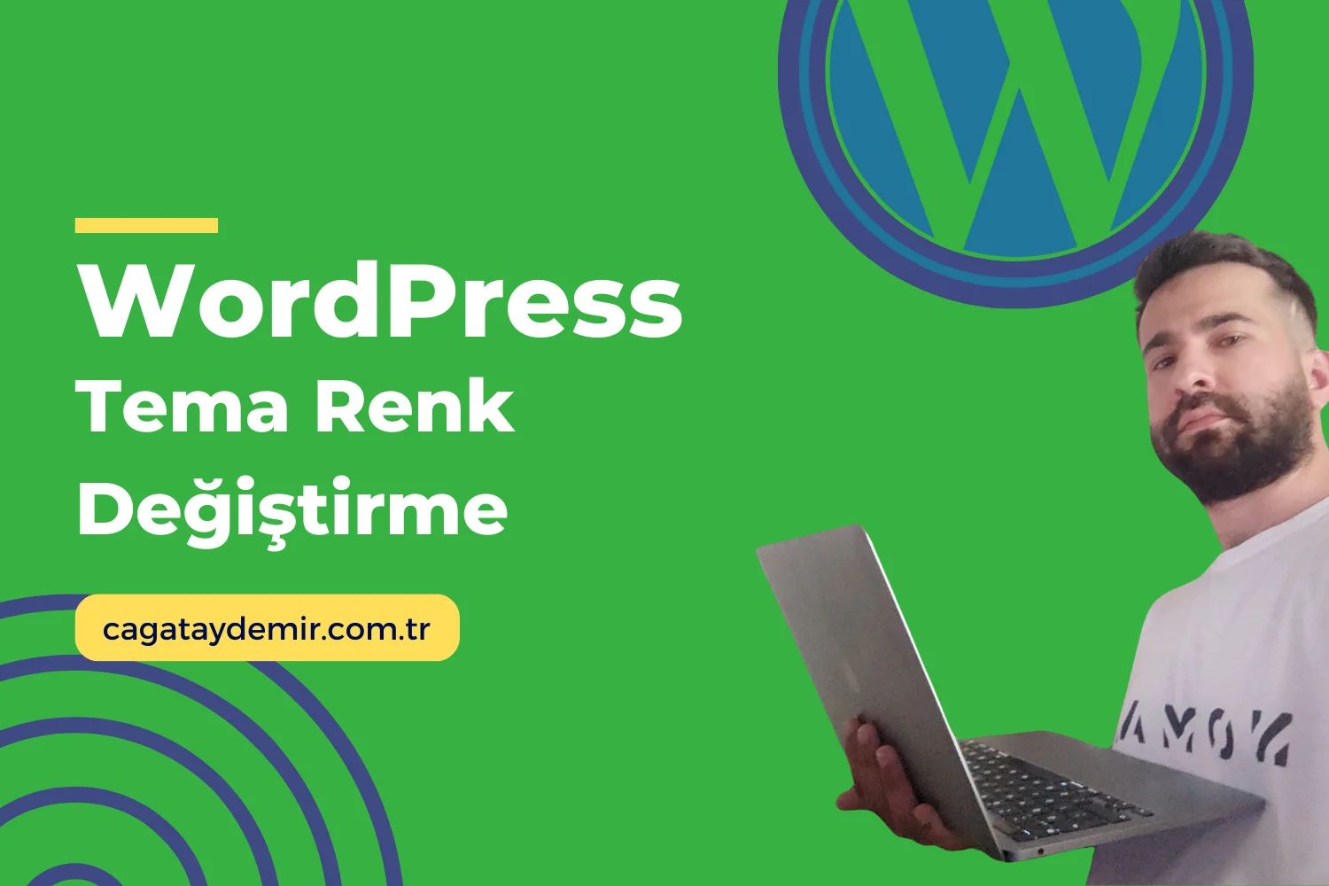 WordPress Tema Renk Değiştirme